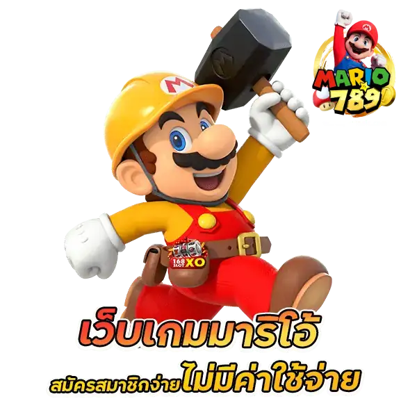 mario wallet